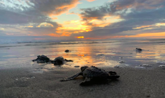 Captura de pantalla 2025-09-08 a la(s) 13.54.49