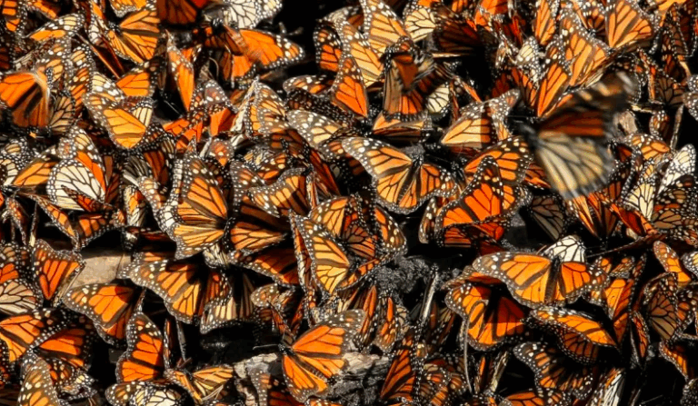 Captura de pantalla 2025-11-10 a la(s) 13.14.01