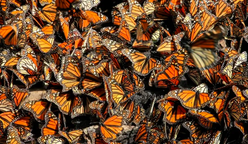 Captura de pantalla 2025-11-10 a la(s) 13.14.01