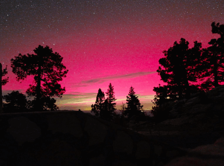 Captura de pantalla 2025-11-12 a la(s) 12.47.35