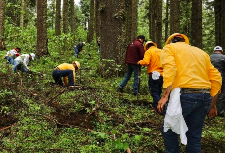 Captura de pantalla 2026-01-01 a la(s) 13.39.23